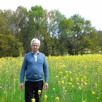 José Manuel Ferreira Xavier Beirão