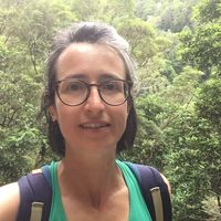 Judit Morello Bullón