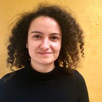 Iona Maria Pereira Heseltine